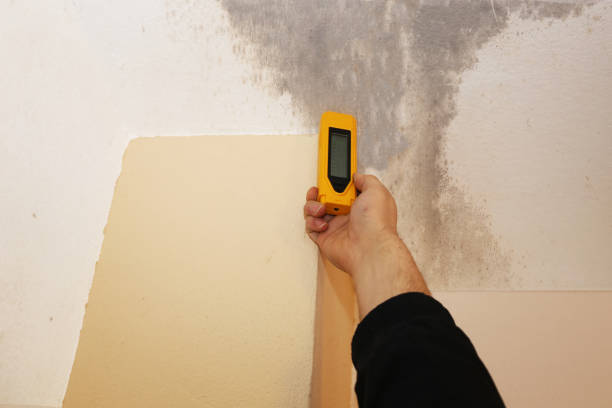 Best Biohazard Mold Removal  in Lusk, WY