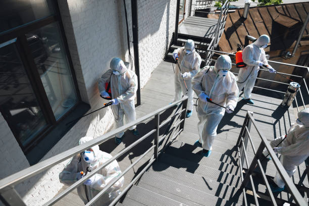 Best Mold Odor Removal Services  in Lusk, WY