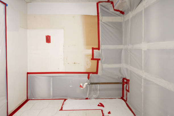 Best Residential Mold Inspection & Testing  in Lusk, WY