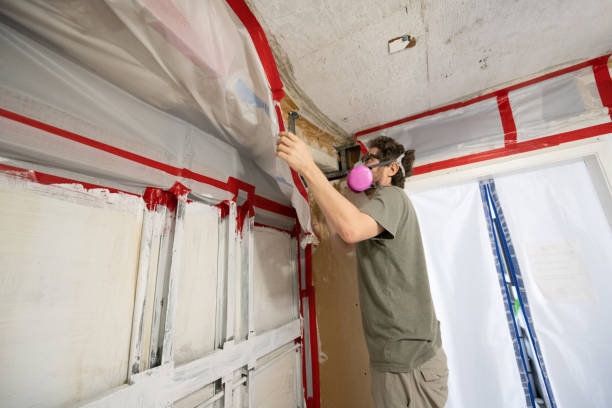 Best Commercial Mold Inspection  in Lusk, WY