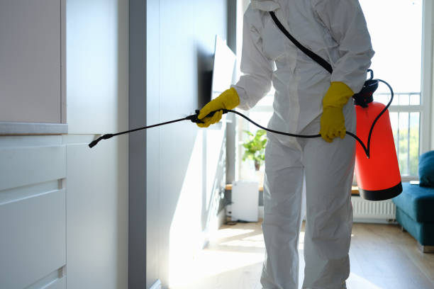 Best Emergency Mold Remediation  in Lusk, WY