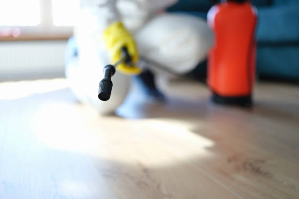 Trusted Lusk, WY Mold Removal Experts