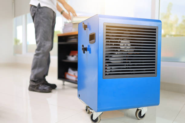 Best Air Quality Testing for Mold Spores  in Lusk, WY