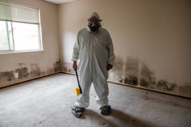 Best Industrial Mold Remediation  in Lusk, WY
