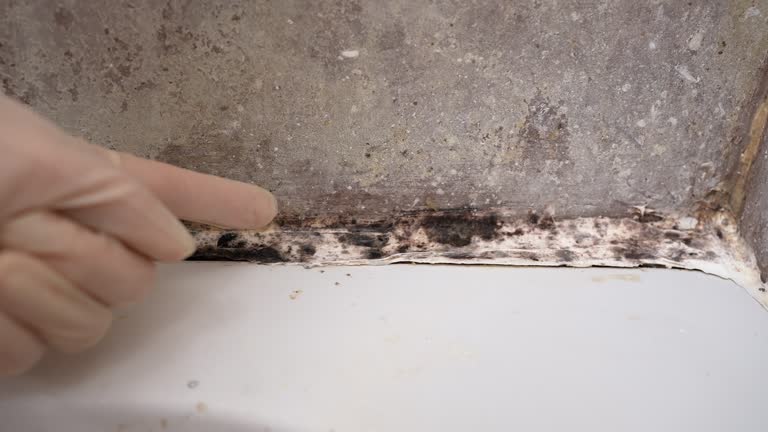 Best Crawl Space Mold Remediation  in Lusk, WY
